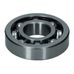 Front Cover/Water Pump Bearing