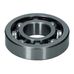 Front Cover/Water Pump Bearing