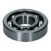 Front Cover/Water Pump Bearing