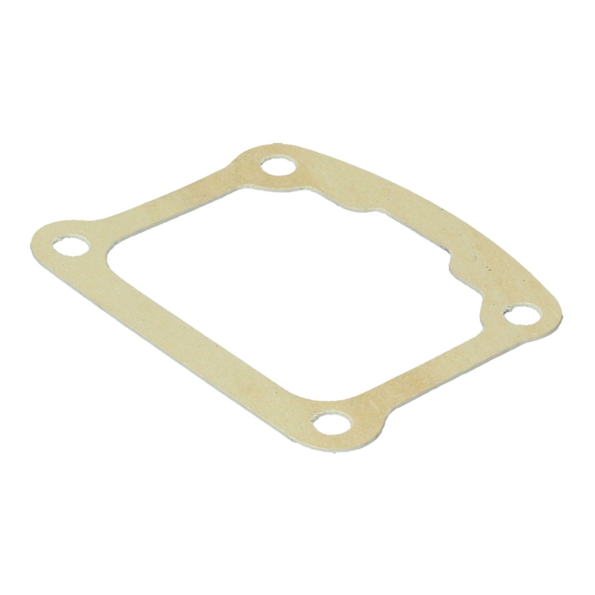 Chain Tensioner Gasket