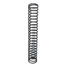 Chain Tensioner Spring