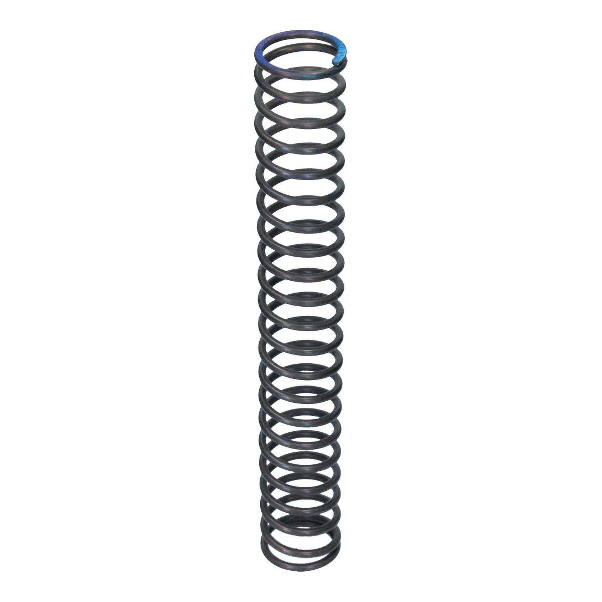 Chain Tensioner Spring