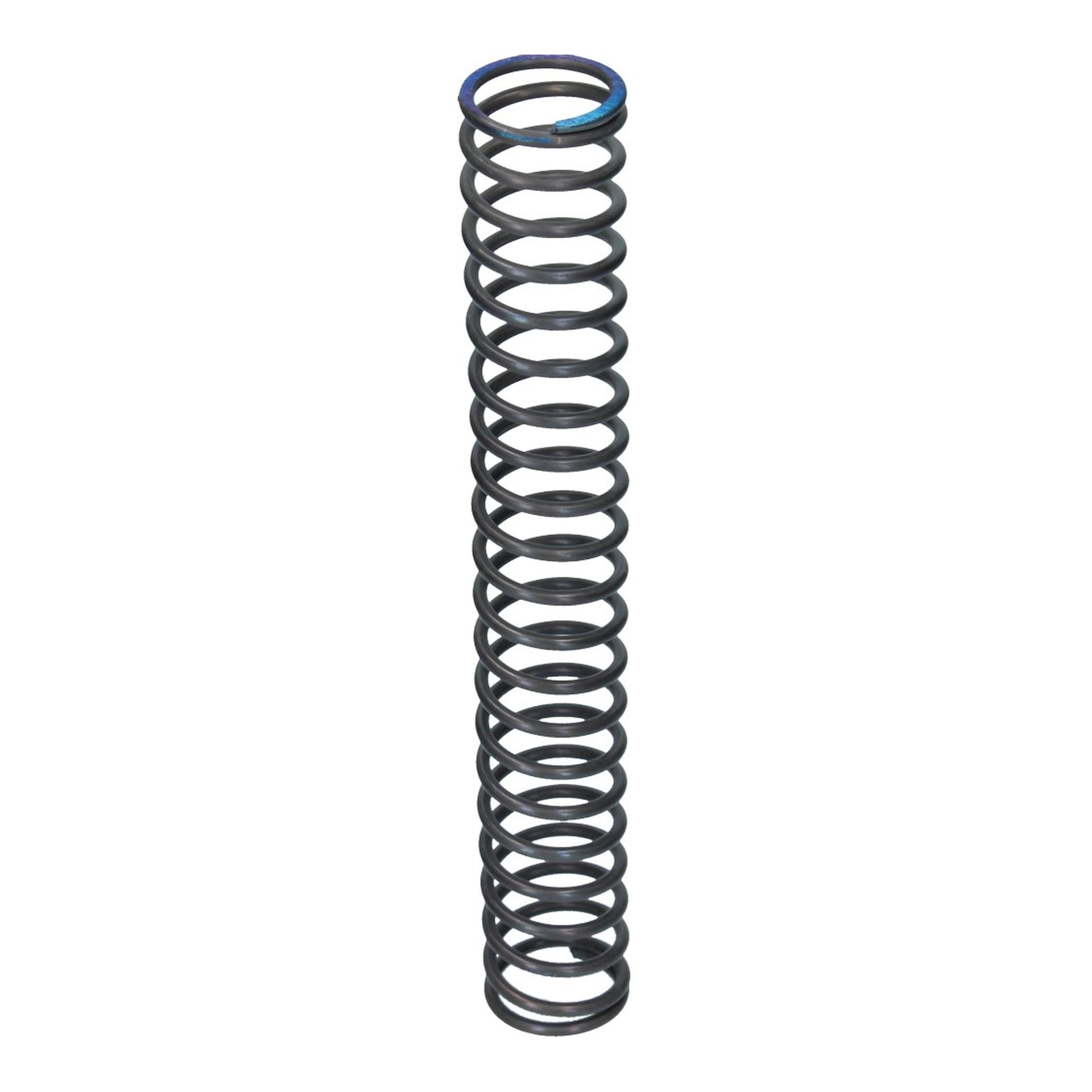 Chain Tensioner Spring