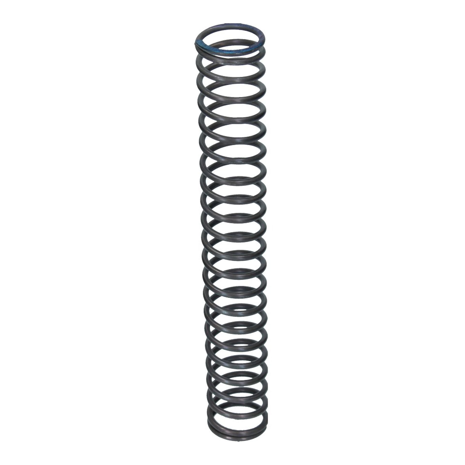 Chain Tensioner Spring