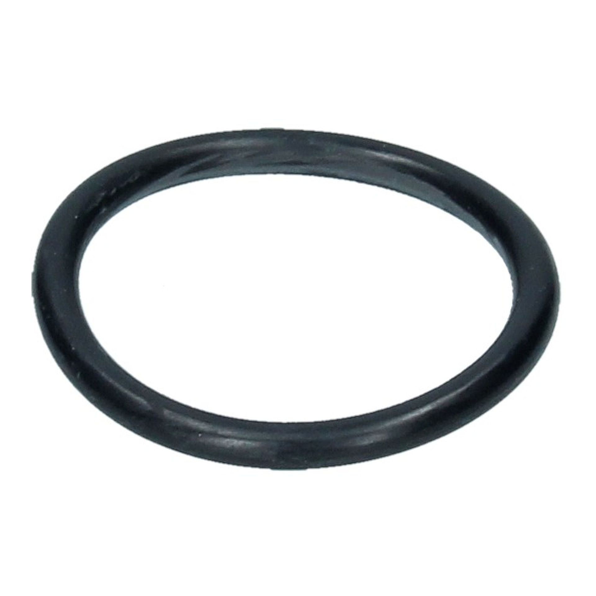 Chain Tensioner/Oil Filler Tube O Ring