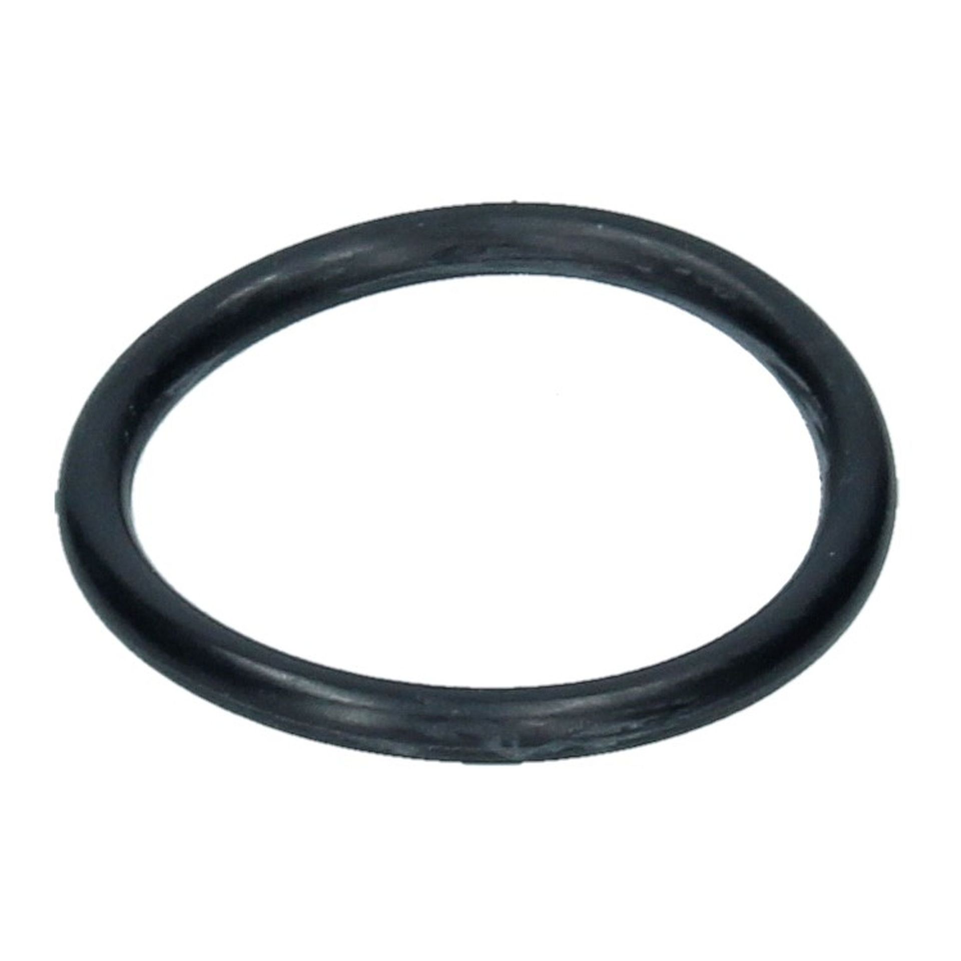 Chain Tensioner/Oil Filler Tube O Ring