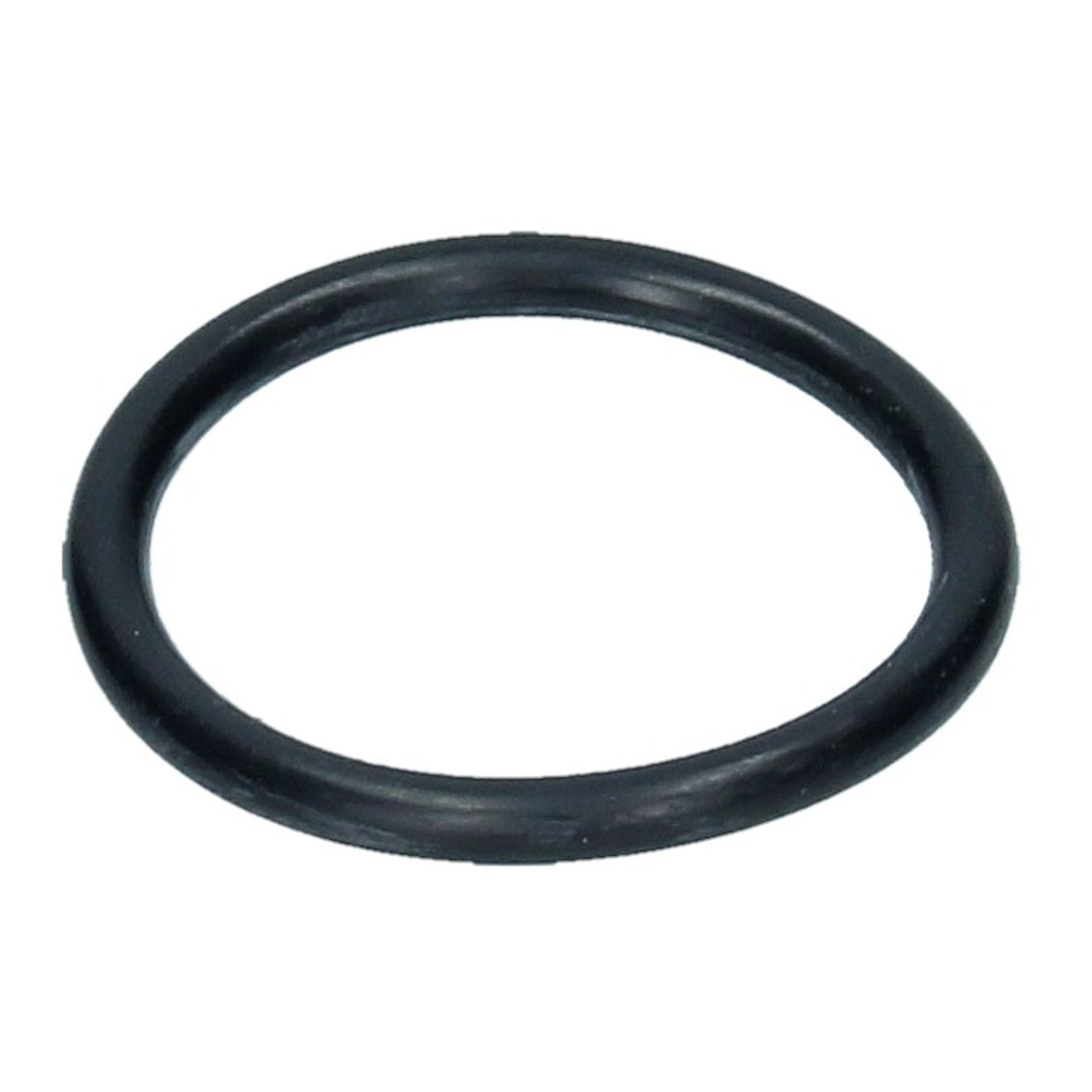 Chain Tensioner/Oil Filler Tube O Ring