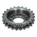 Cam Sprocket 246 GT Dino