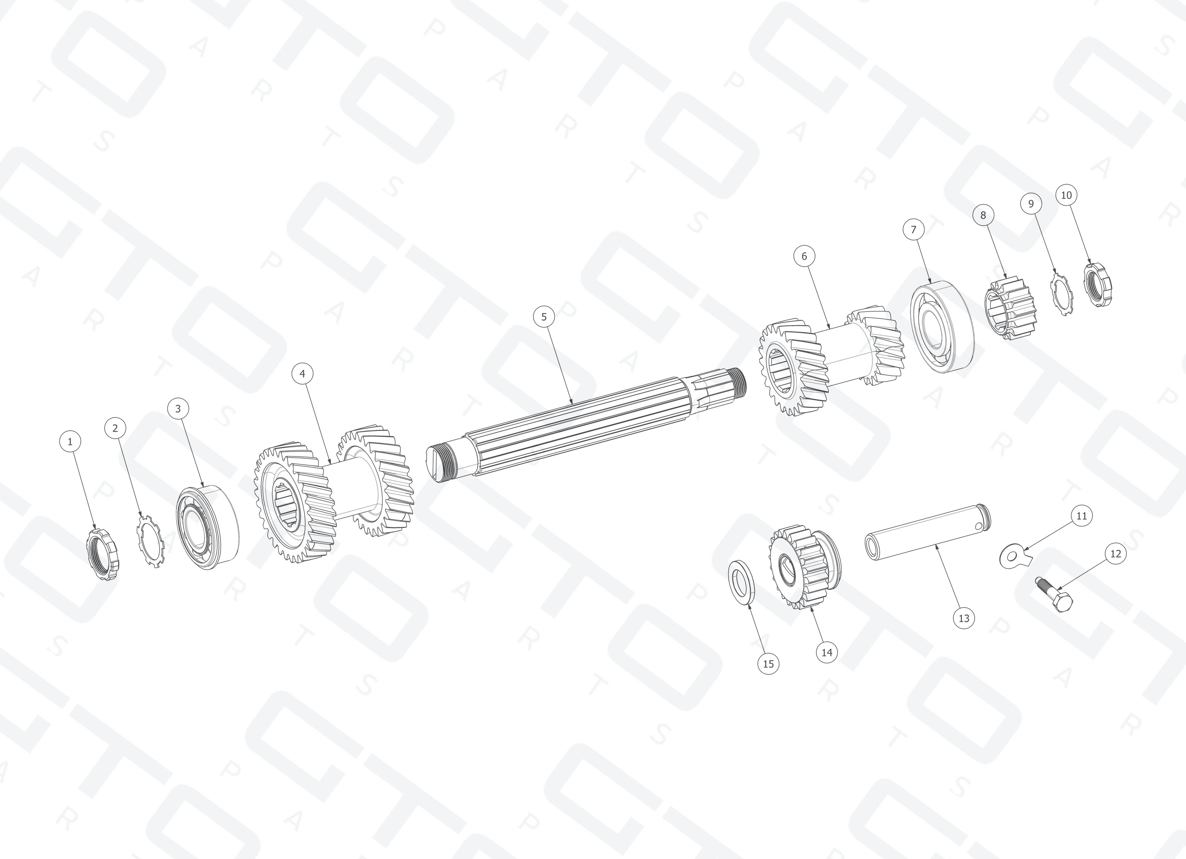 Schematic: Layshaft & Reverse Idler Assembly