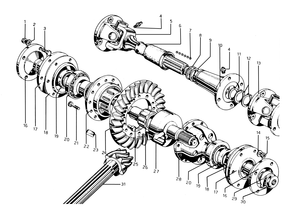 Differential & Driveshaft