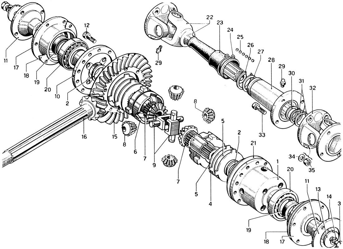 Schematic: Differential Case And Axle Shafts