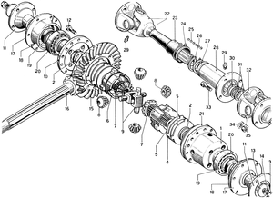 Differential Case And Axle Shafts