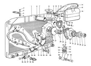 Cooling System - Water Pump & Radiator