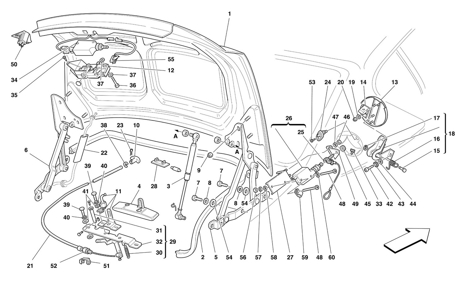 Schematic: Trunk Hood Bonnet And Petrol Cover