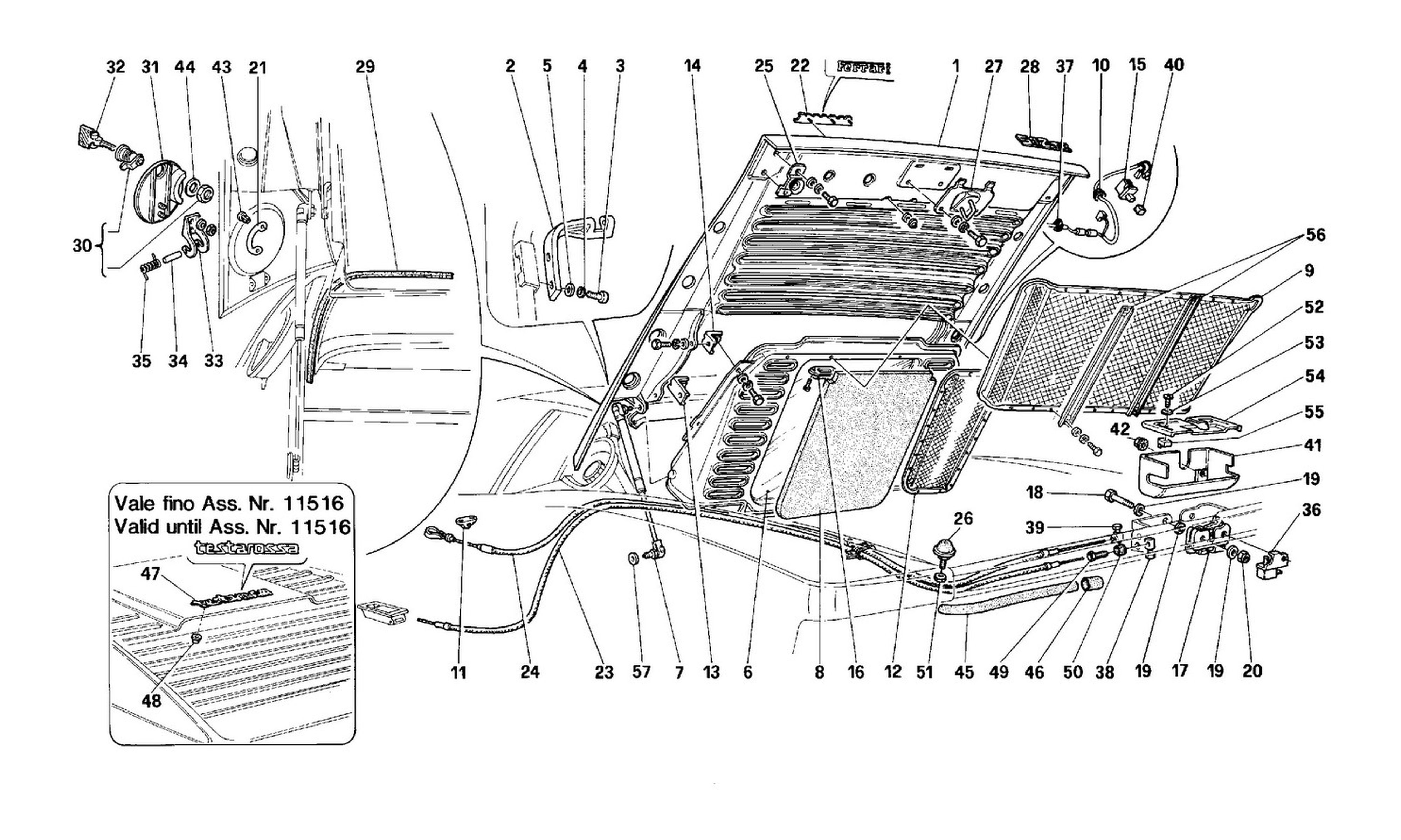 Schematic: Rear Hood