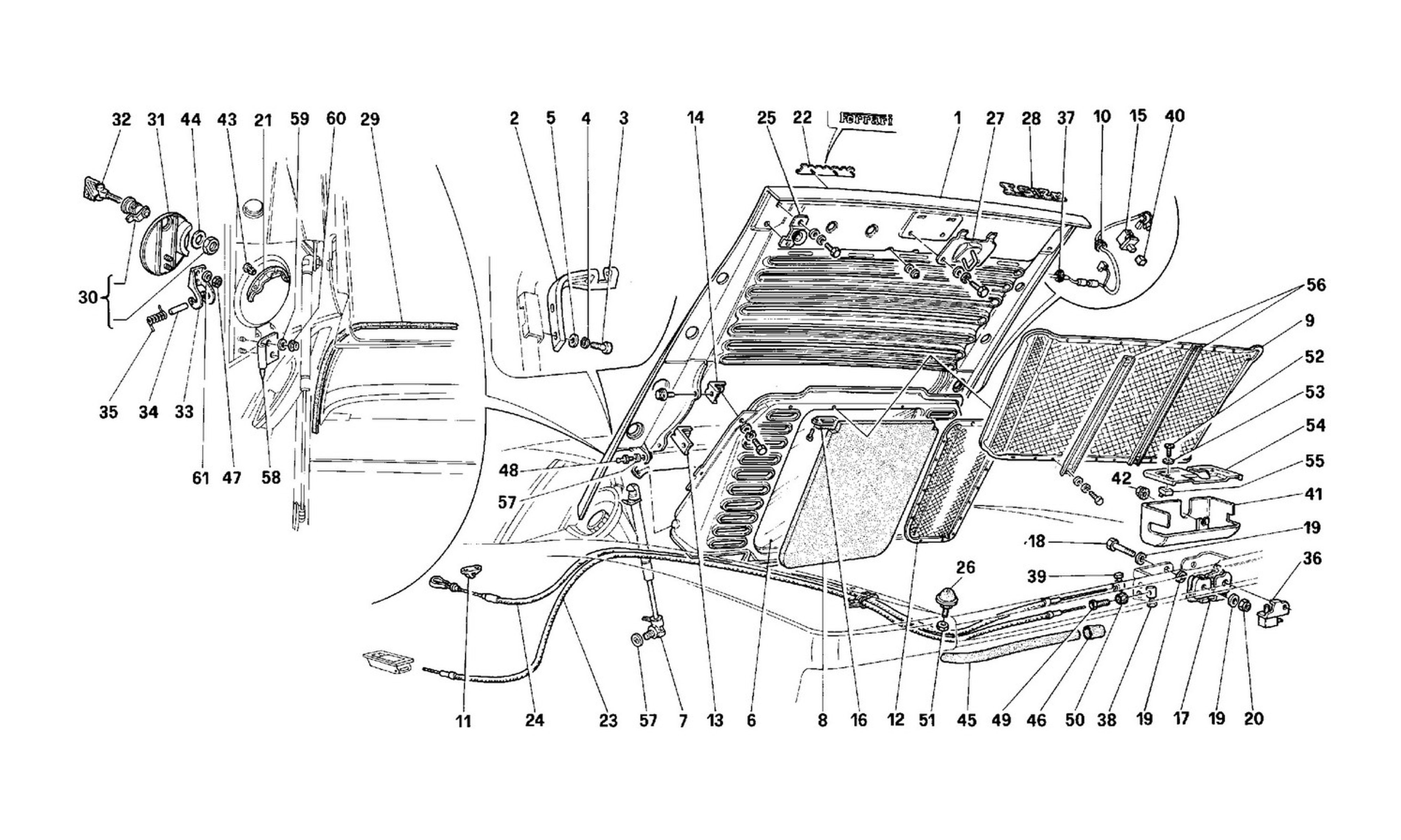 Schematic: Rear Hood