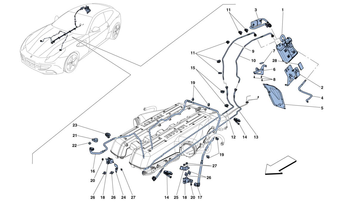 Schematic: Evaporative Emissions Control System