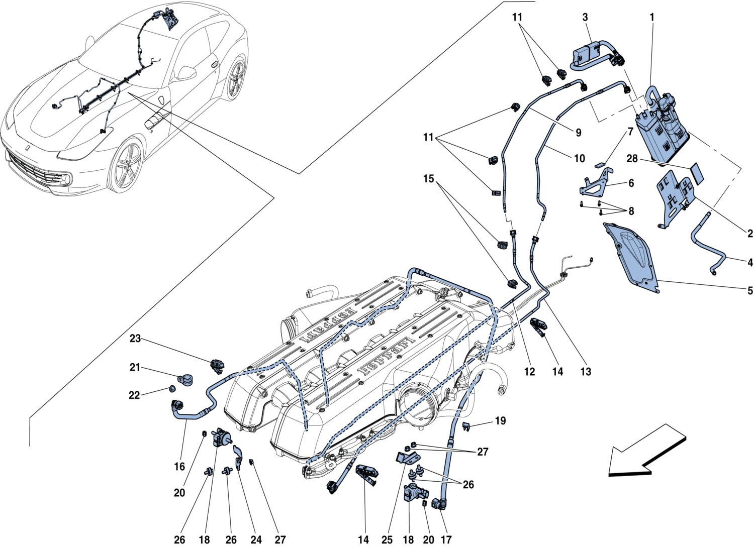 Schematic: Evaporative Emissions Control System