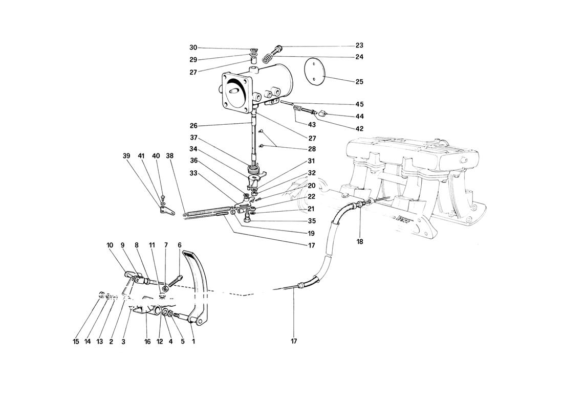 Schematic: Throttle Housing And Linkage